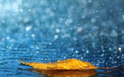 Sindepark-RS arrecada doações para vítimas das chuvas no Estado